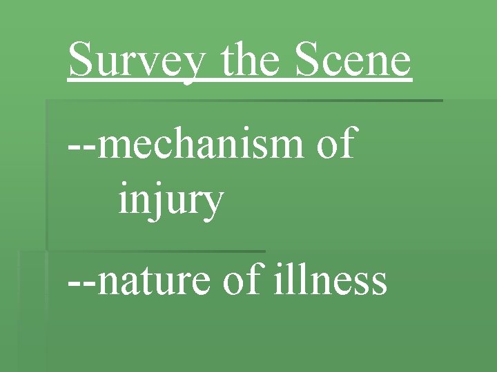 Survey the Scene --mechanism of injury --nature of illness 