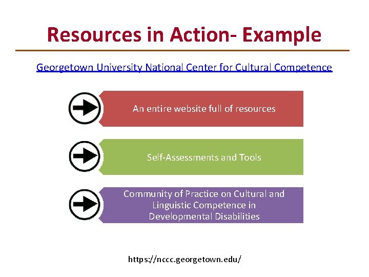 Resources in Action- Example Georgetown University National Center for Cultural Competence An entire website