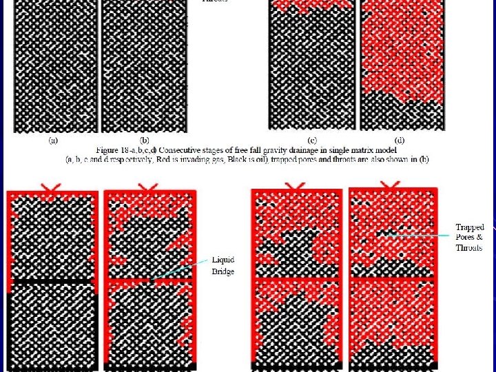 Experimental Results 