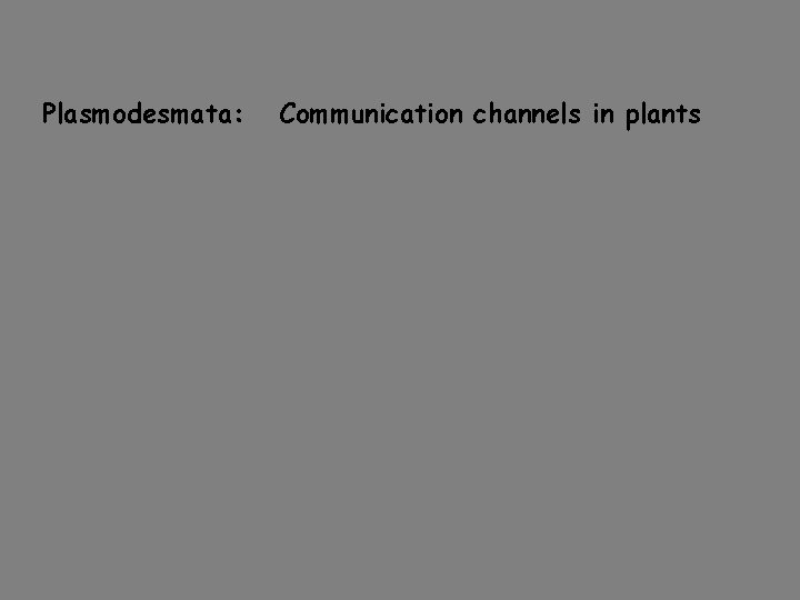 Plasmodesmata: Communication channels in plants Plasmodesmata: Communication channels in plants