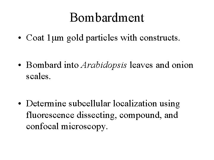 Bombardment • Coat 1 mm gold particles with constructs. • Bombard into Arabidopsis leaves Bombardment • Coat 1 mm gold particles with constructs. • Bombard into Arabidopsis leaves