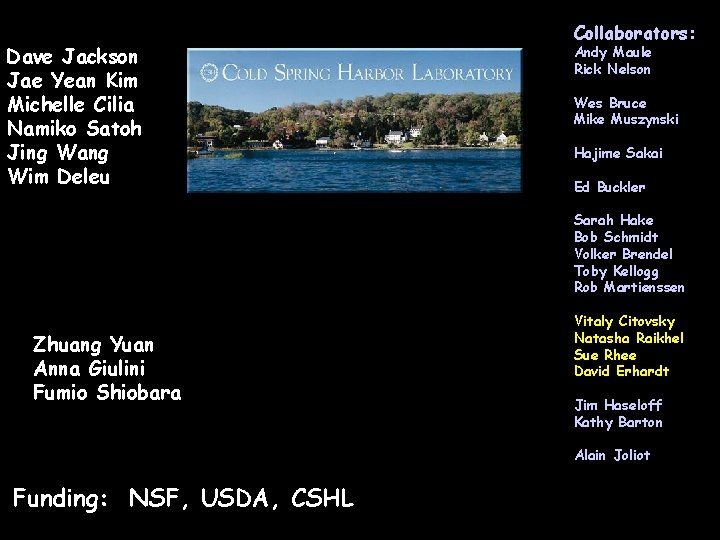 Dave Jackson Jae Yean Kim Michelle Cilia Namiko Satoh Jing Wang Wim Deleu Collaborators: Dave Jackson Jae Yean Kim Michelle Cilia Namiko Satoh Jing Wang Wim Deleu Collaborators:
