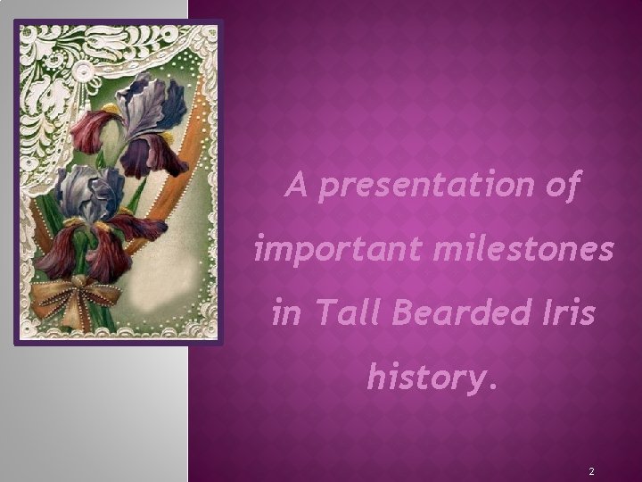 A presentation of important milestones in Tall Bearded Iris history. 2 
