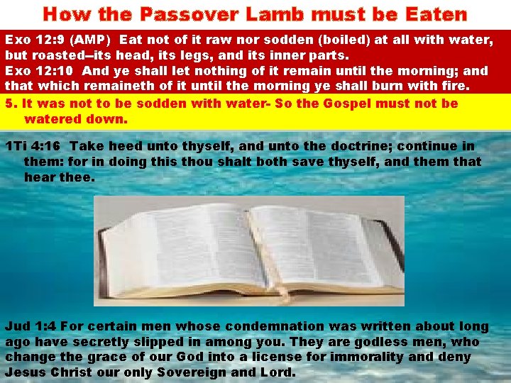 How the Passover Lamb must be Eaten Exo 12: 9 (AMP) Eat not of
