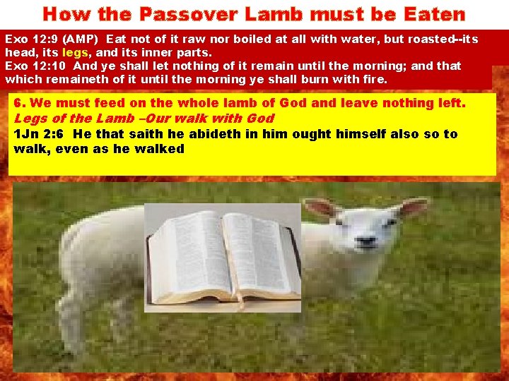 How the Passover Lamb must be Eaten Exo 12: 9 notnot of it nor