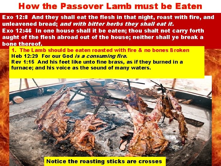 How the Passover Lamb must be Eaten Exo 12: 8 And they shall eat