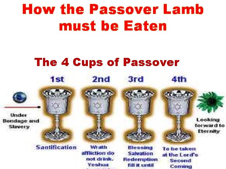 How the Passover Lamb must be Eaten The 4 Cups of Passover 