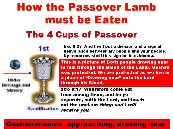 How the Passover Lamb must be Eaten The 4 Cups of Passover Exo 8: