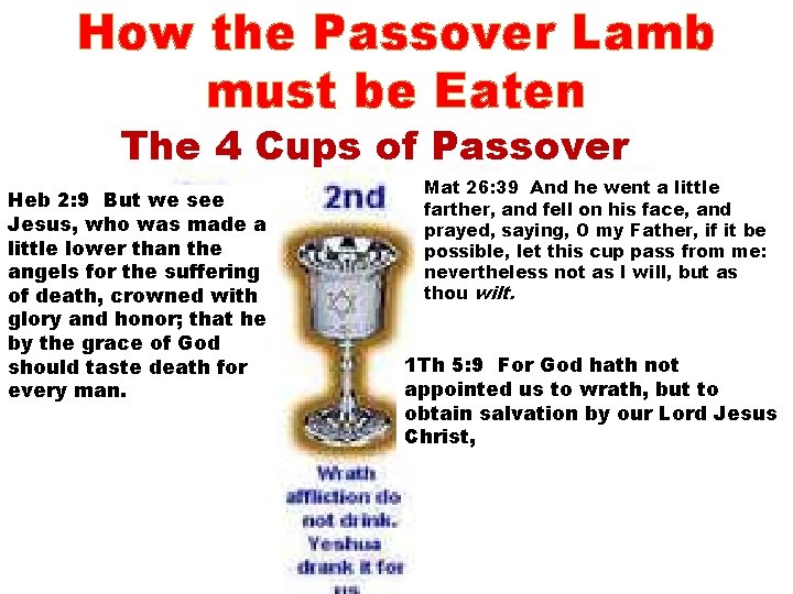 How the Passover Lamb must be Eaten The 4 Cups of Passover Heb 2: