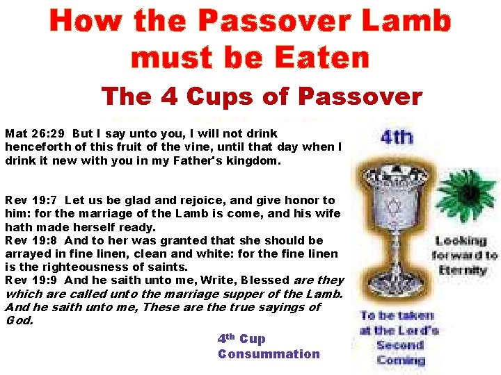 How the Passover Lamb must be Eaten The 4 Cups of Passover Mat 26: