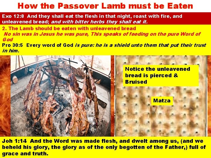 How the Passover Lamb must be Eaten Exo 12: 8 And they shall eat