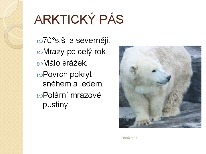 ARKTICKÝ PÁS 70°s. š. a severněji. Mrazy po celý rok. Málo srážek. Povrch pokryt