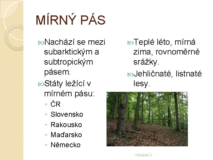 MÍRNÝ PÁS Nachází se mezi subarktickým a subtropickým pásem. Státy ležící v mírném pásu: