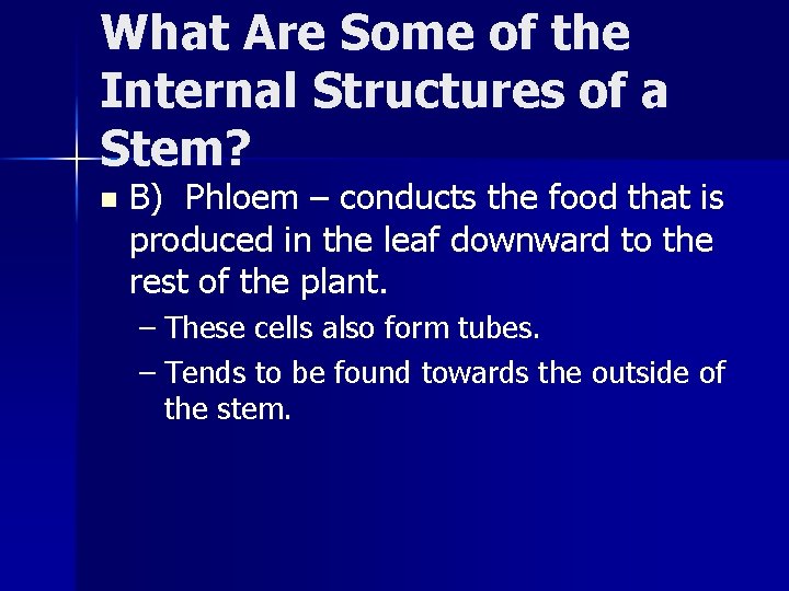What Are Some of the Internal Structures of a Stem? n B) Phloem –