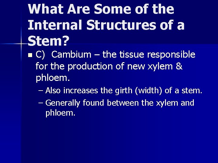 What Are Some of the Internal Structures of a Stem? n C) Cambium –