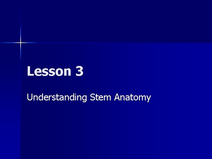 Lesson 3 Understanding Stem Anatomy 