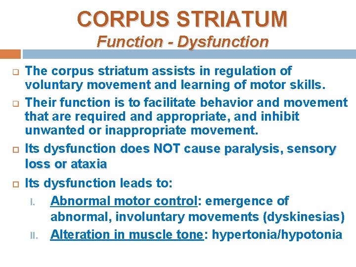 CORPUS STRIATUM Function - Dysfunction q q The corpus striatum assists in regulation of