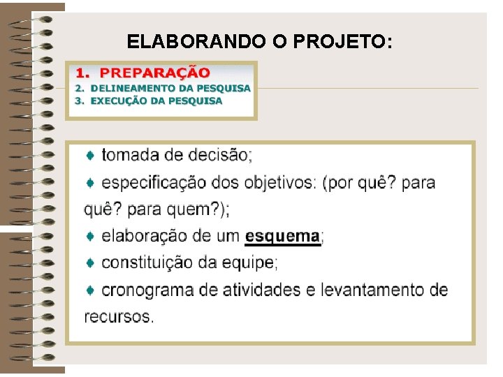 ELABORANDO O PROJETO: 