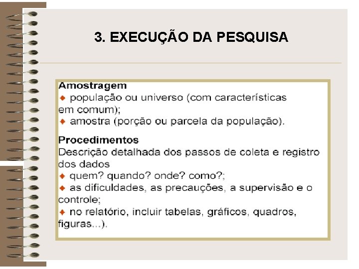 3. EXECUÇÃO DA PESQUISA 