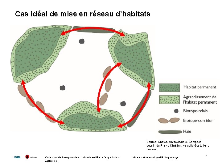 Cas idéal de mise en réseau d’habitats Source: Station ornithologique Sempach; dessin de Priska