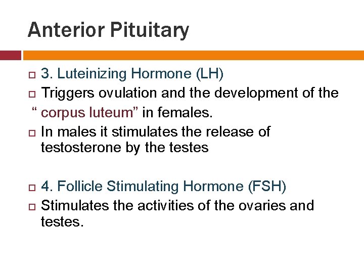 Anterior Pituitary 3. Luteinizing Hormone (LH) Triggers ovulation and the development of the “