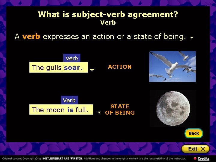 What is subject-verb agreement? Verb A verb expresses an action or a state of