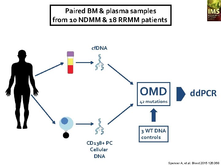 Paired BM & plasma samples from 10 NDMM & 18 RRMM patients cf. DNA