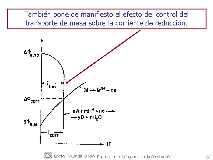 También pone de manifiesto el efecto del control del transporte de masa sobre la