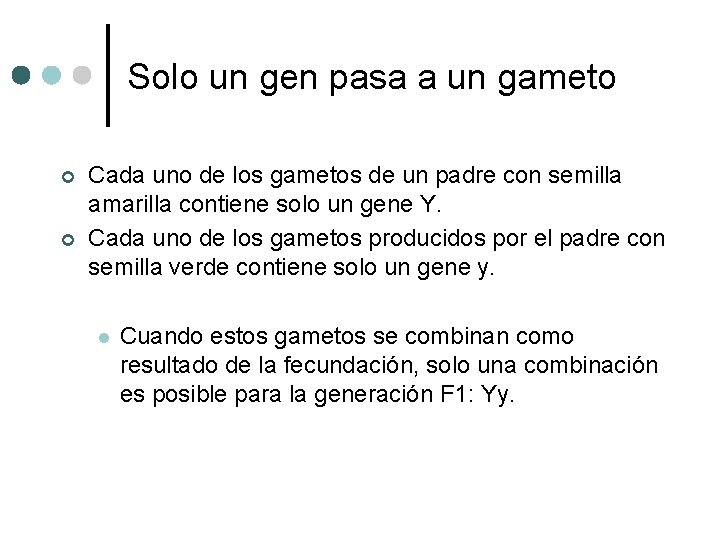 Solo un gen pasa a un gameto ¢ ¢ Cada uno de los gametos