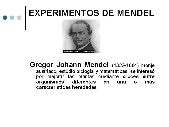 EXPERIMENTOS DE MENDEL Gregor Johann Mendel (1822 -1884) monje austriaco, estudio biología y matemáticas,