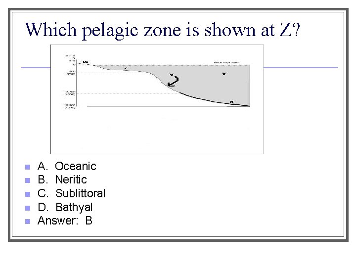 Which pelagic zone is shown at Z? n n n A. Oceanic B. Neritic