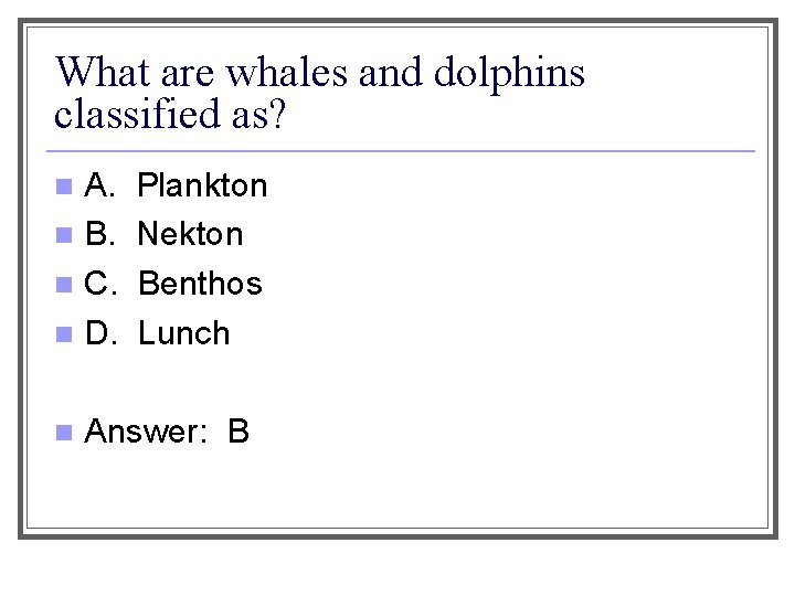 What are whales and dolphins classified as? A. n B. n C. n D.