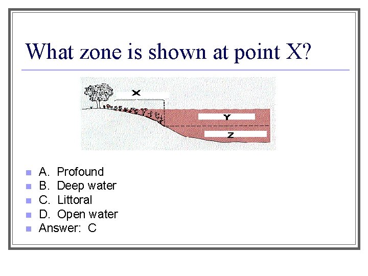 What zone is shown at point X? n n n A. Profound B. Deep