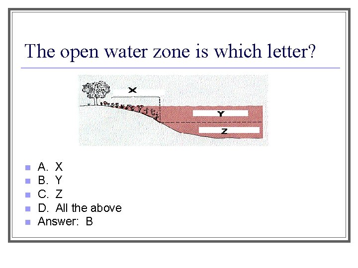 The open water zone is which letter? n n n A. X B. Y