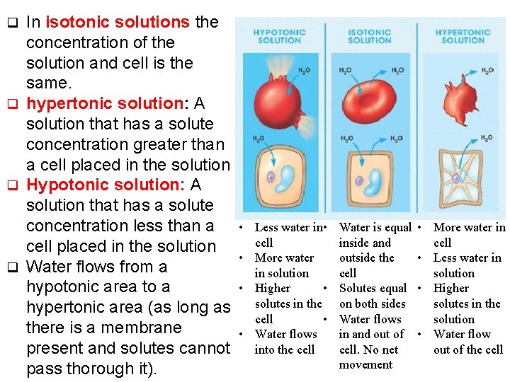 In isotonic solutions the concentration of the solution and cell is the same. q