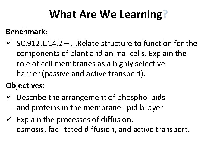 What Are We Learning? Benchmark: ü SC. 912. L. 14. 2 –. . .