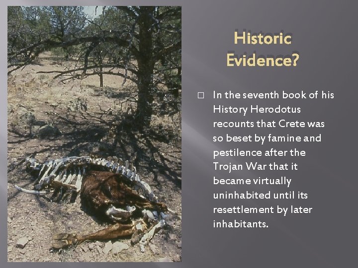 Historic Evidence? � In the seventh book of his History Herodotus recounts that Crete