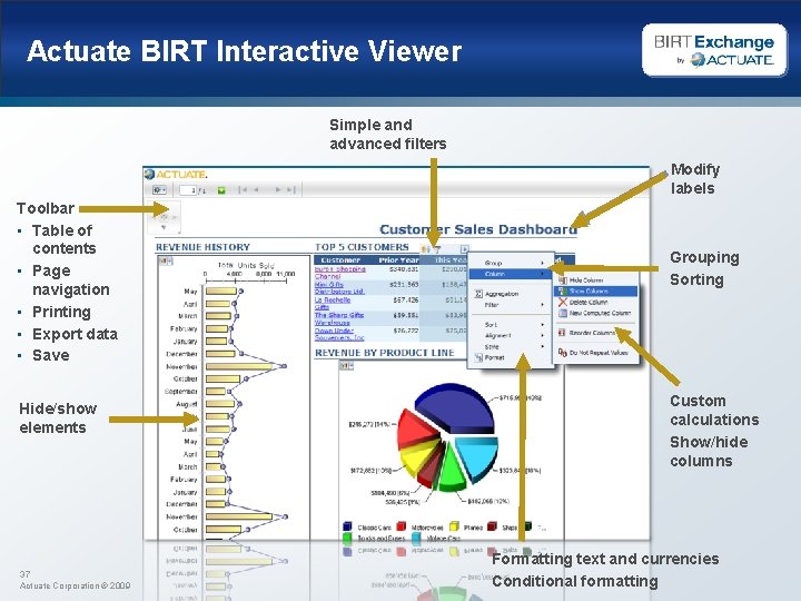 Actuate BIRT Interactive Viewer Simple and advanced filters Modify labels Toolbar • Table of