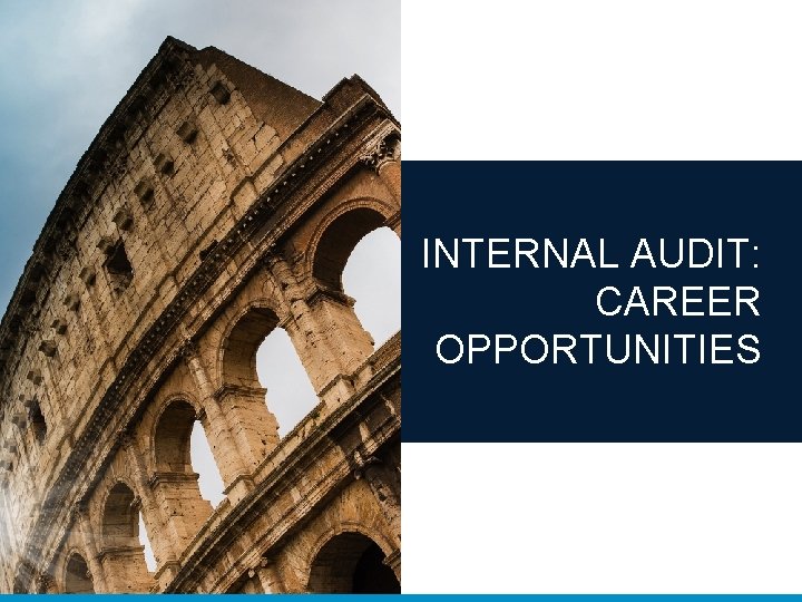 INTERNAL AUDIT: CAREER OPPORTUNITIES 