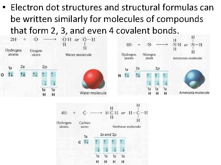  • Electron dot structures and structural formulas can be written similarly for molecules