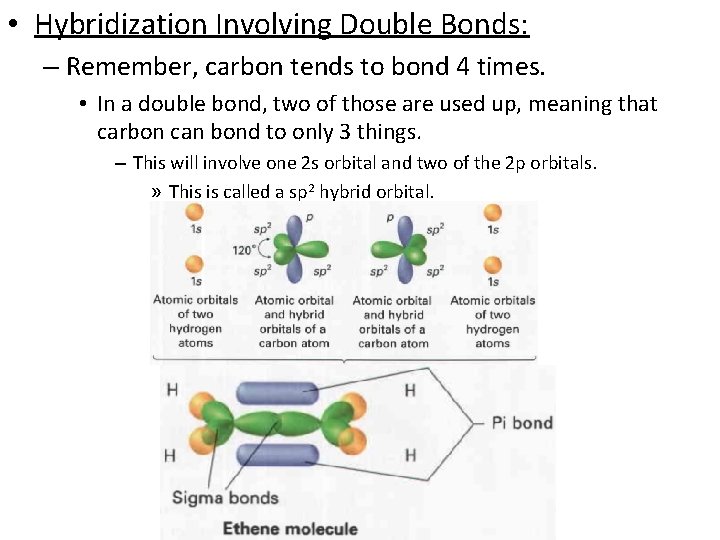  • Hybridization Involving Double Bonds: – Remember, carbon tends to bond 4 times.