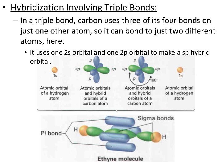  • Hybridization Involving Triple Bonds: – In a triple bond, carbon uses three