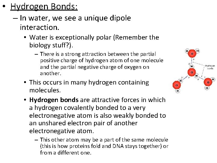  • Hydrogen Bonds: – In water, we see a unique dipole interaction. •