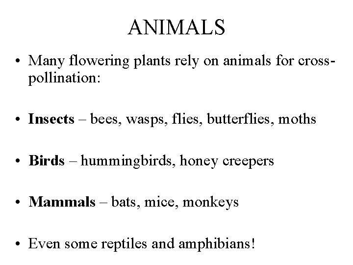 ANIMALS • Many flowering plants rely on animals for crosspollination: • Insects – bees,