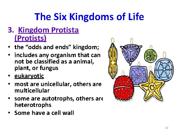 The Six Kingdoms of Life 3. Kingdom Protista (Protists) • the “odds and ends”