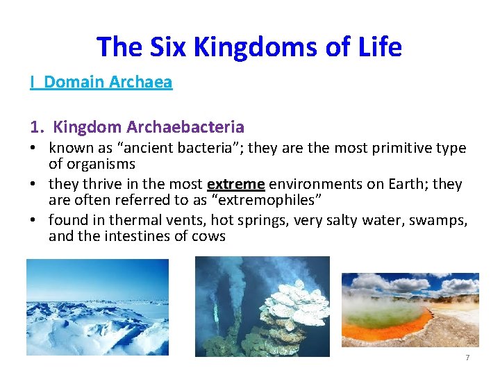 The Six Kingdoms of Life I Domain Archaea 1. Kingdom Archaebacteria • known as