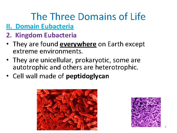 The Three Domains of Life II. Domain Eubacteria 2. Kingdom Eubacteria • They are