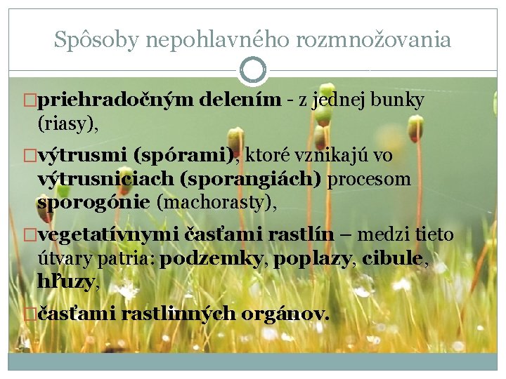 Spôsoby nepohlavného rozmnožovania �priehradočným delením - z jednej bunky (riasy), �výtrusmi (spórami), ktoré vznikajú