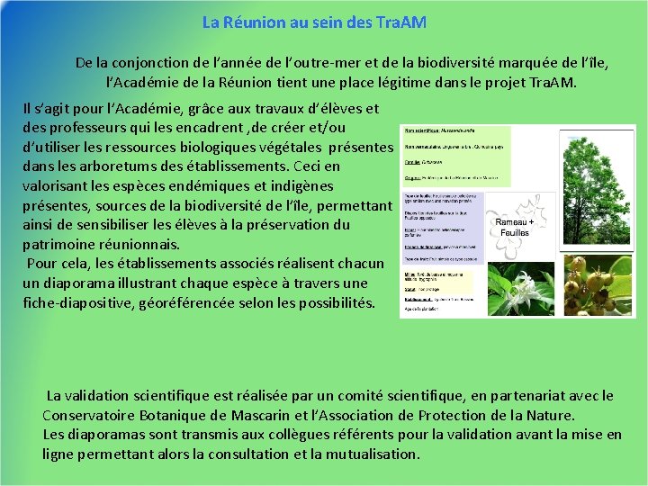 La Réunion au sein des Tra. AM De la conjonction de l’année de l’outre-mer