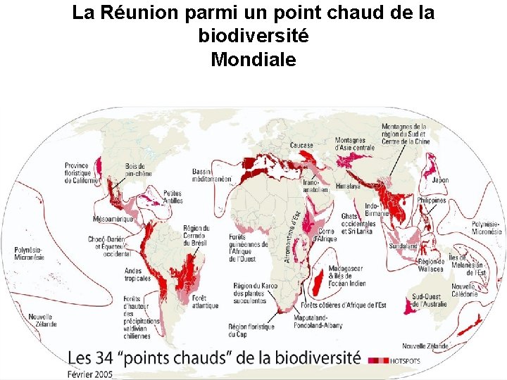 La Réunion parmi un point chaud de la biodiversité Mondiale 